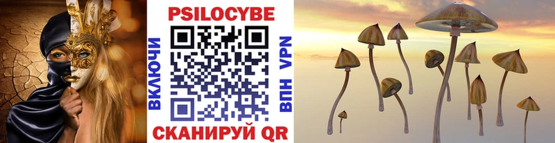 купить наркотик  Воскресенск  omg как зайти  Псилоцибиновые грибы мицелий 